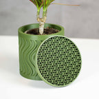 Humidity Plant Tray | Water Tray Saucer for Indoor Plants | Minimalist Plant Drip Tray | Catch Tray for Pots