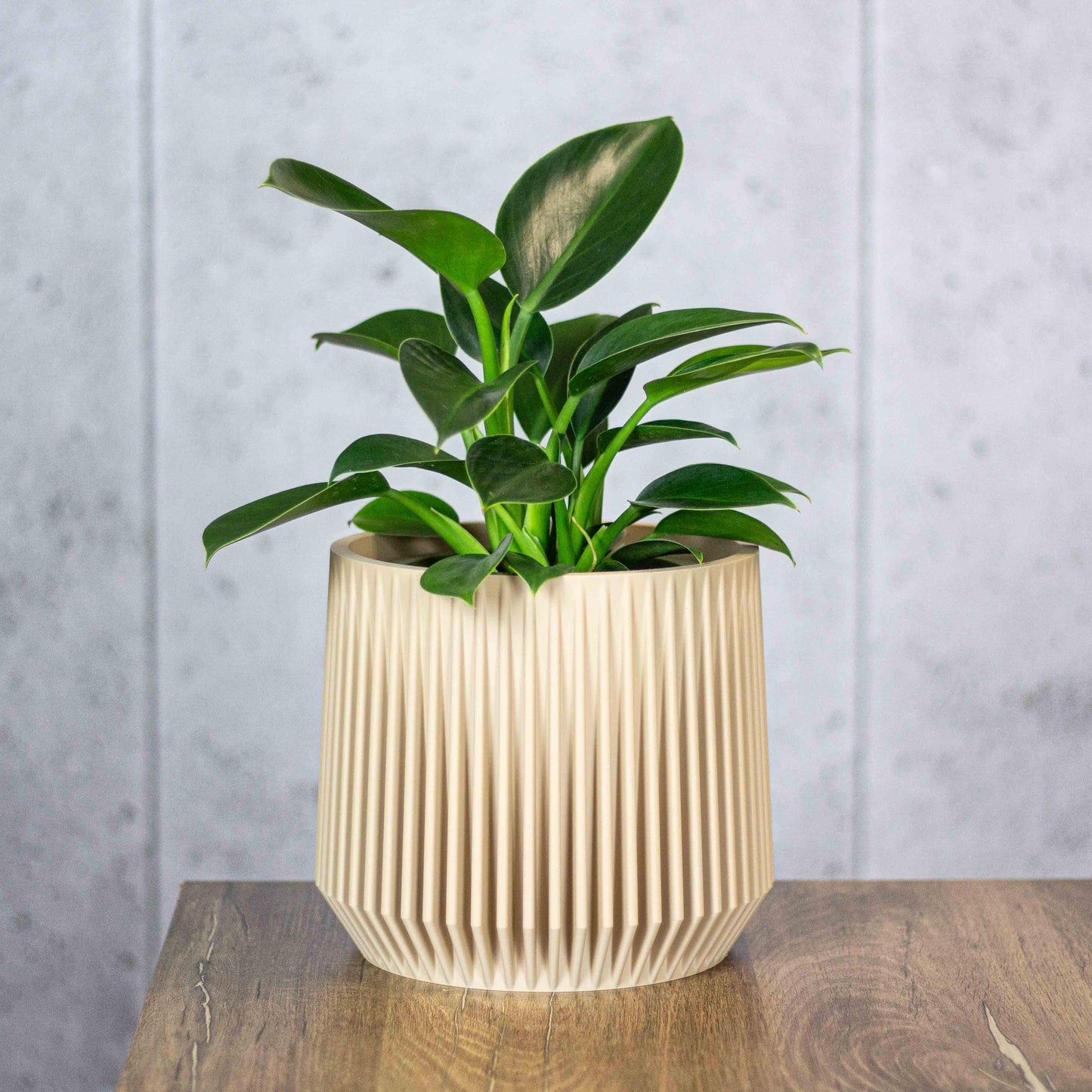 Modern Plant Pot with Drainage