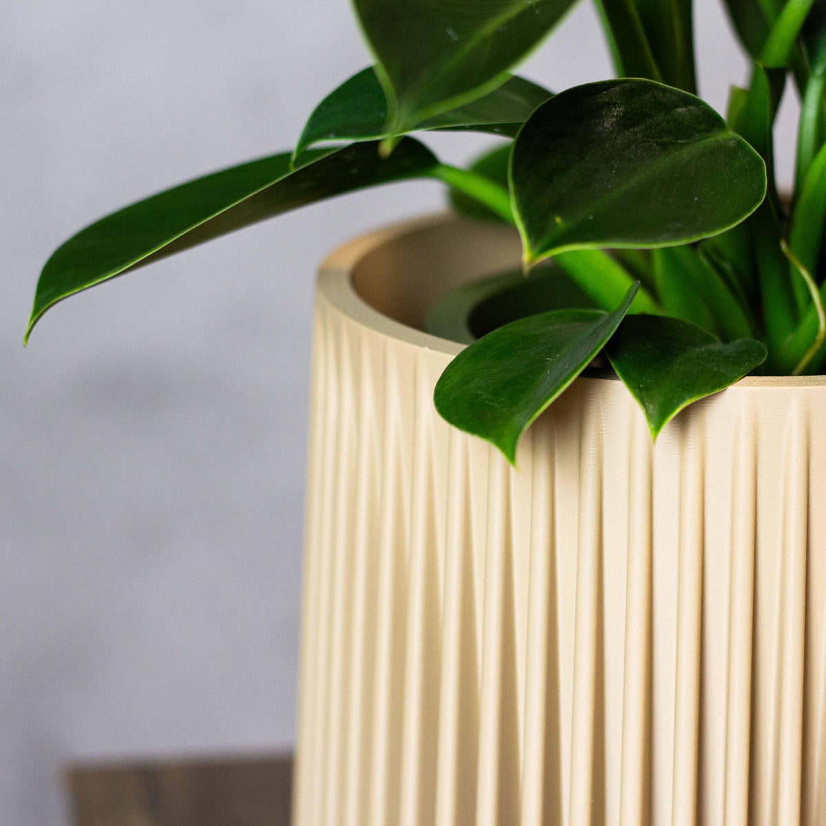 Modern Plant Pot with hidden Drainage