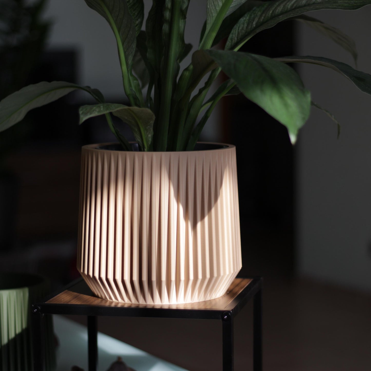 Modern Plant Pot with Drainage